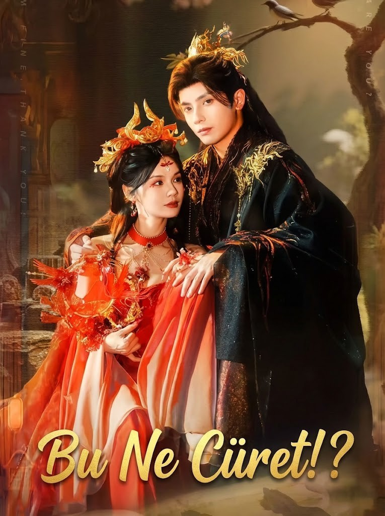 Bu Ne Cüret!?